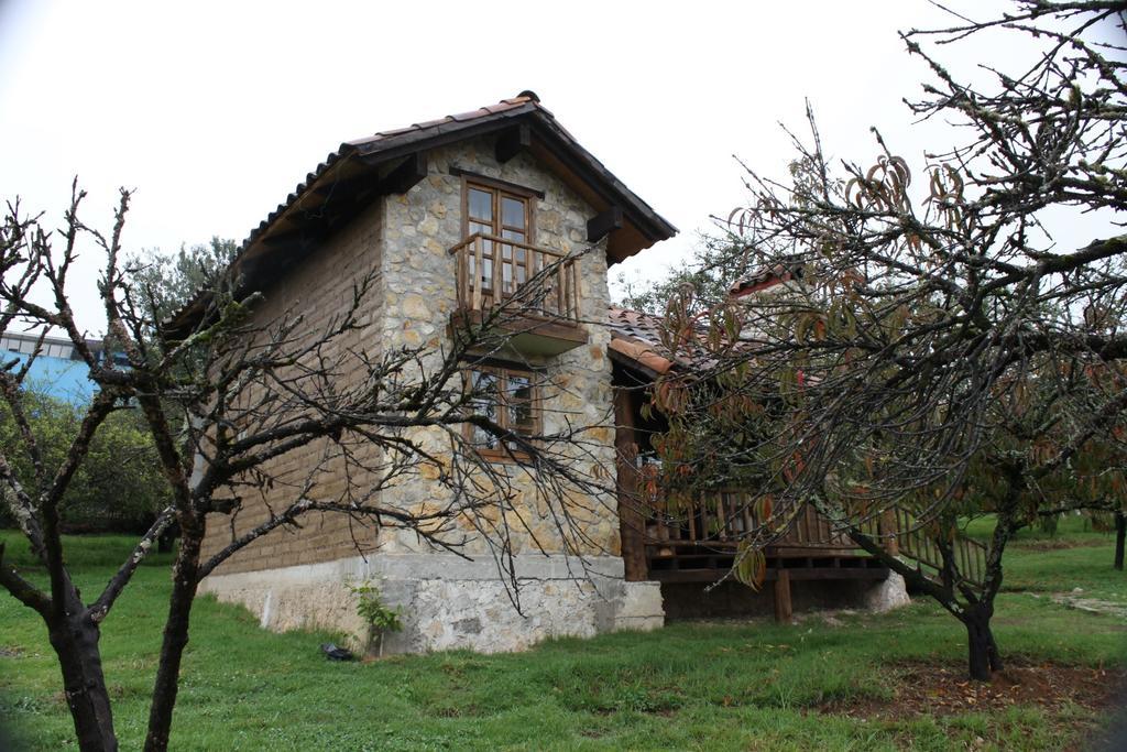 Вилла La Tierra Grande Сакатлан Номер фото